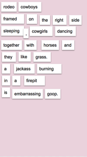 The poem reads, rodeo cowboys, framed on the right side, sleeping, cowgirls dancing, together with horses and, they like grass. A jackass burning, in a fire pit, is embarrassing goop.